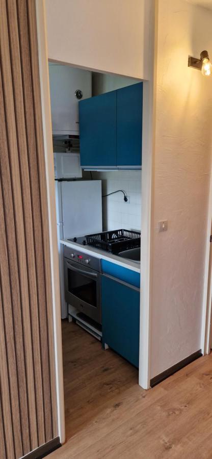 Appartement Saint Lary - Pla D'Adet - Aux Pieds Des Pistes Luaran gambar